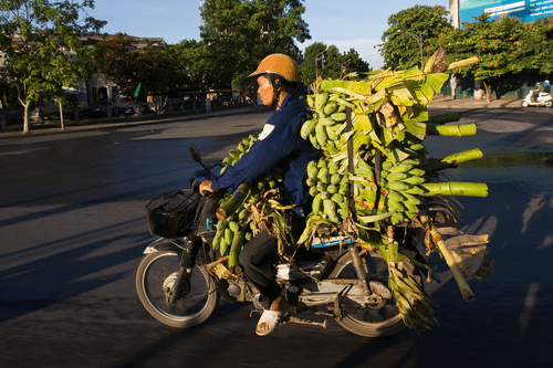 Bikes of Burden #114. Bananas.