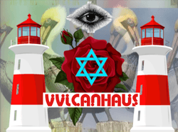 vvlcanhaus collection image