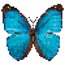 Pixelfly collection image