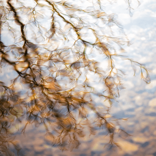 Alister Benn - Intimate