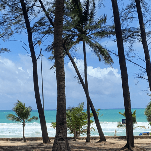 Angelinas-Paintings - Collection | OpenSea