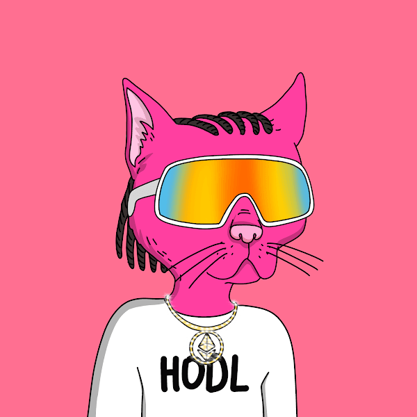HODL_Cat