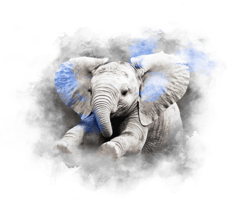 BLUE BABY - ELEPHANT