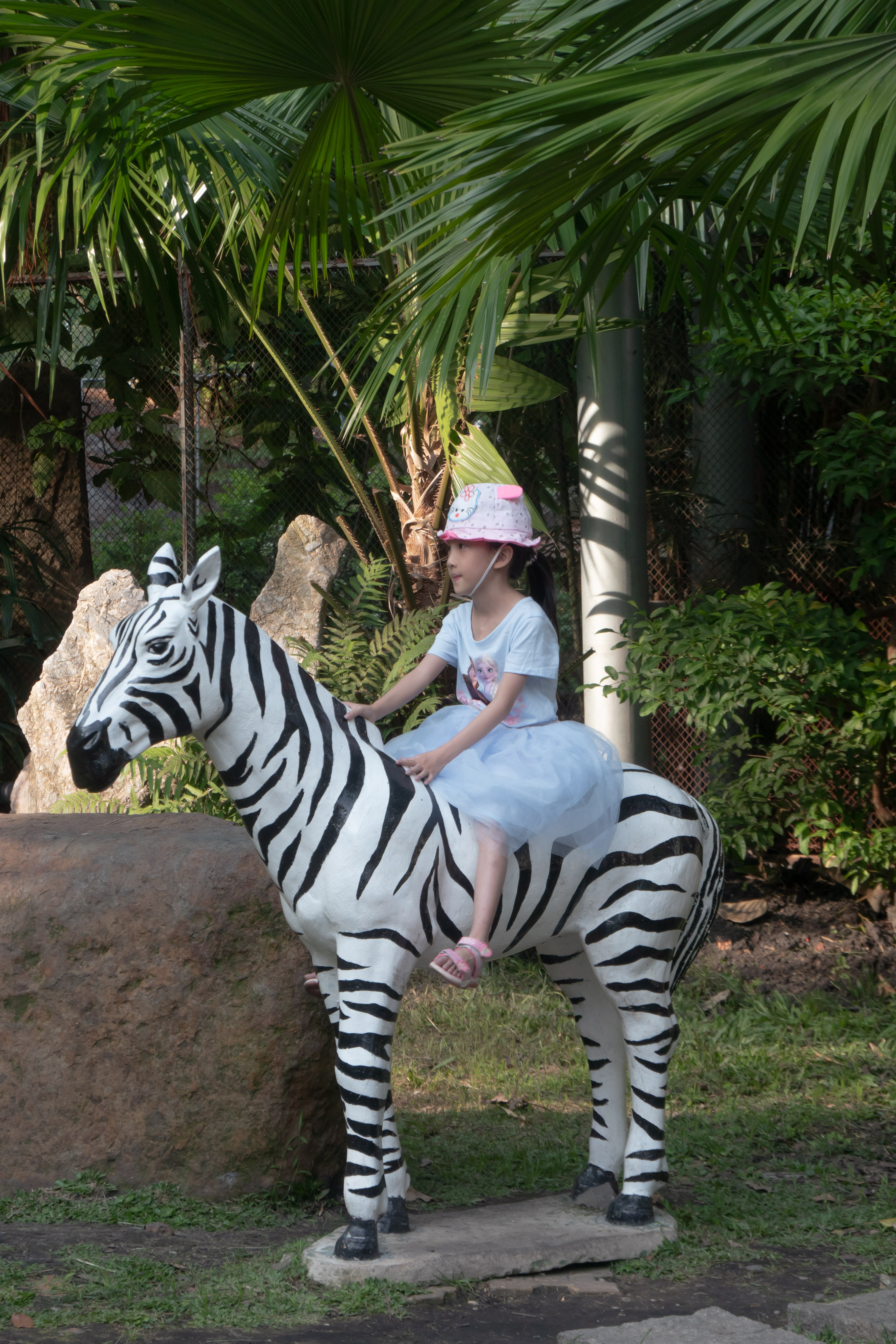 Girl on Zebra