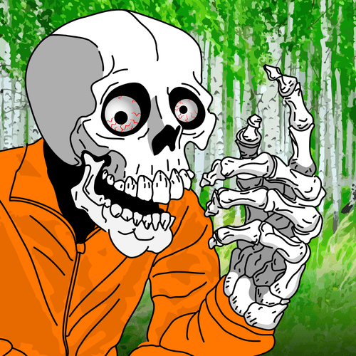 wtf.Gopnik Free mint invite4u