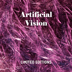 Artificial Vision  Limited Editions collection image