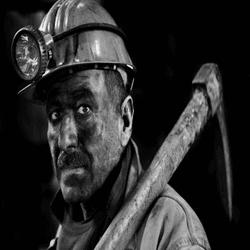 Faces From a Shift in The Coal Mine collection image