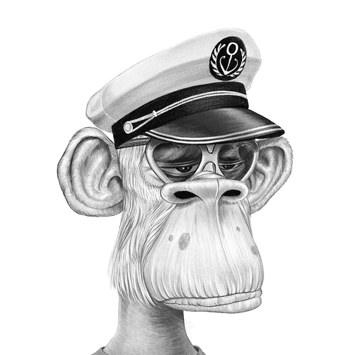 Drawed Ape Yacht Club