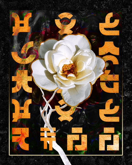 You Can and You Will