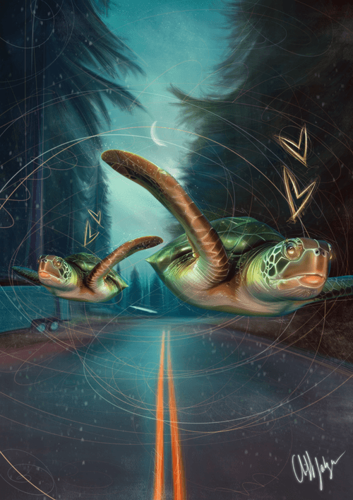 Break Free From Your Shell