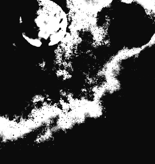 Consciousness Rising No.13