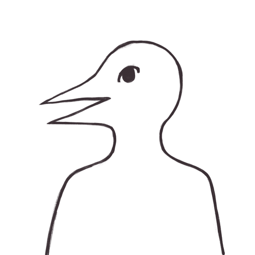 DZDH_BIRD 000