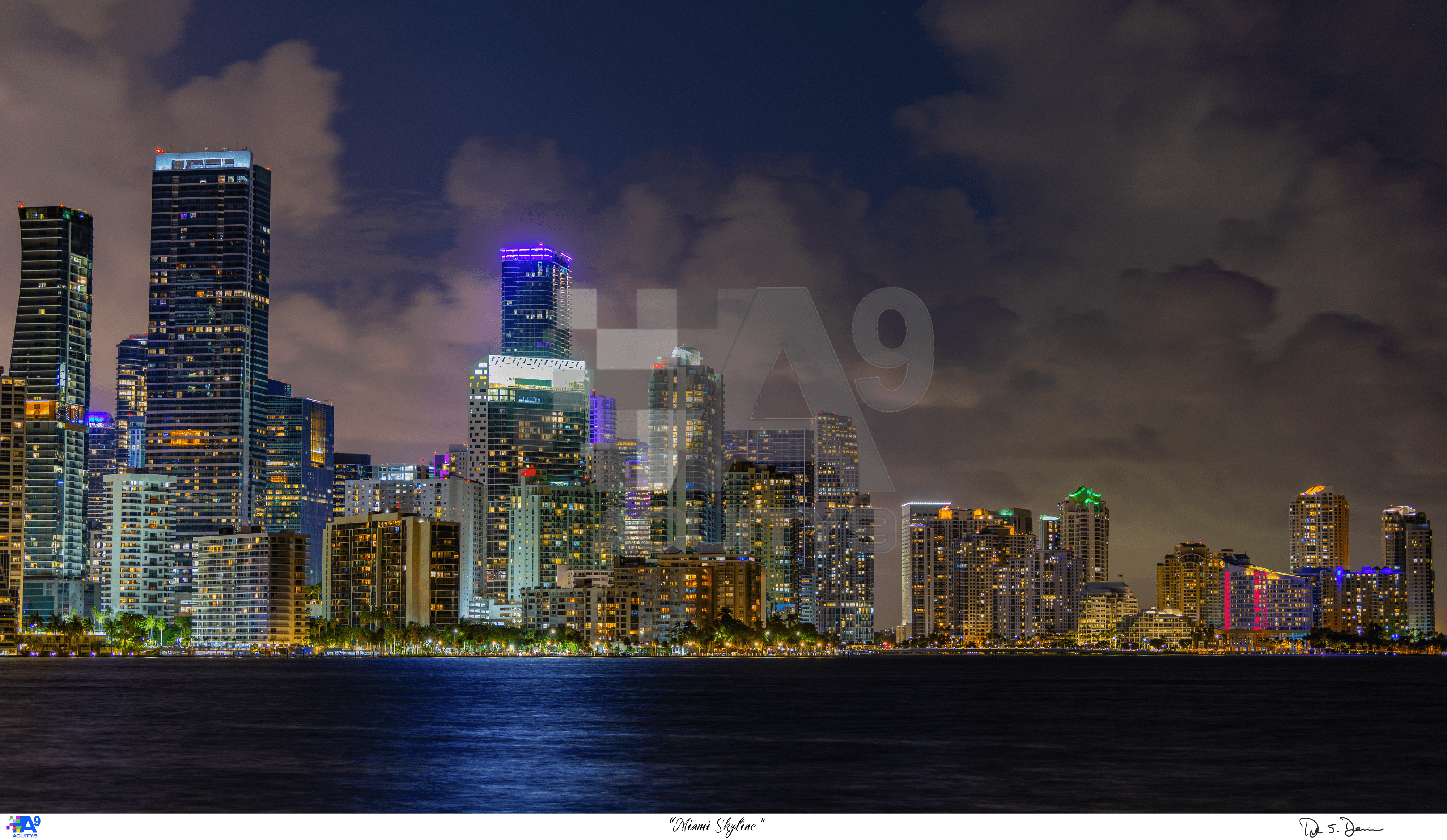 "Miami Skyline"