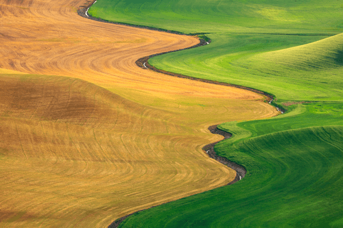 Yin & Yang | Aaron Reed Photography