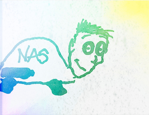 The SuperNAS Turtles Friends