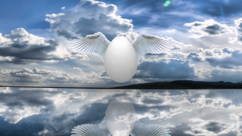 Angel's  Egg