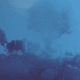 1995  - OROPESA BLUE SERIES