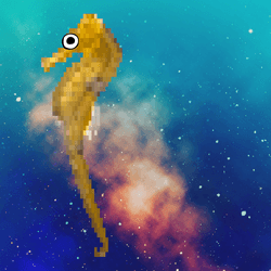 Seahorses in Space collection image
