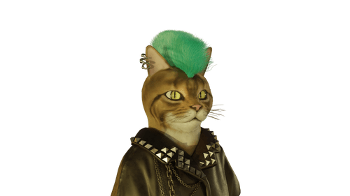 Bad Cat