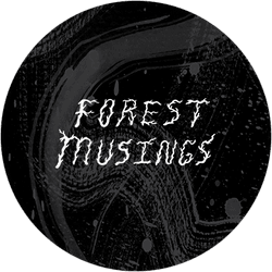 Forest Musings collection image
