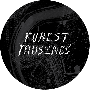 Forest Musings