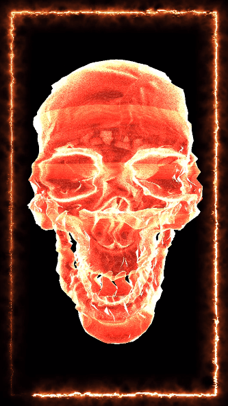 Hologram #18 Skull