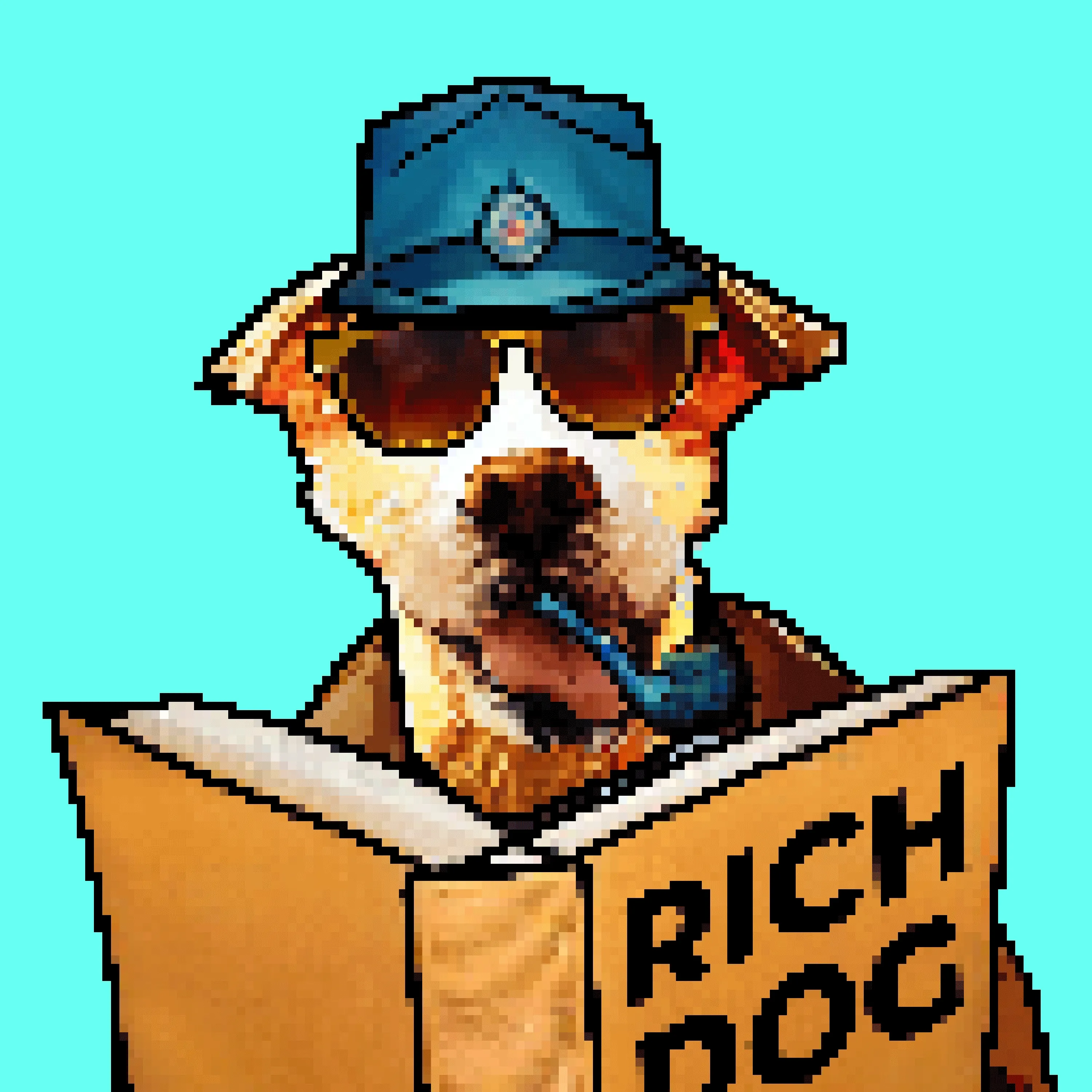 Rich Dog ReadymadeNFT Collection