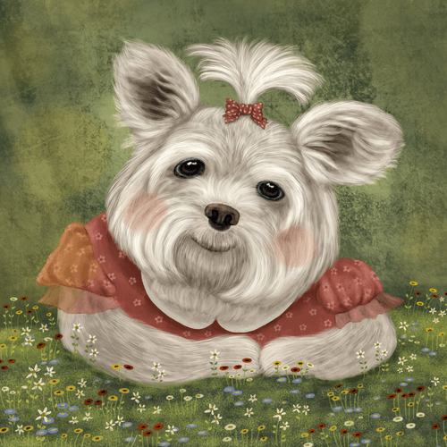 Belfi