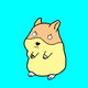 HAMSTER UNCOMMON - old