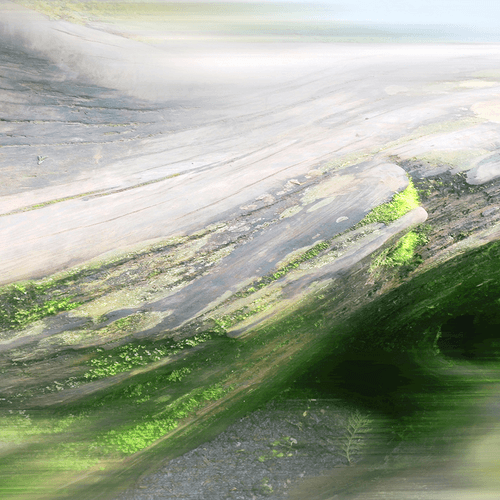 Earth Day Collection : Forest Breathing