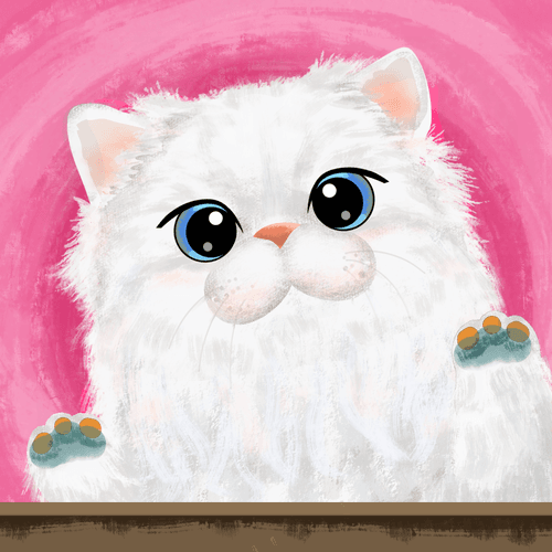 White fluffy Cat