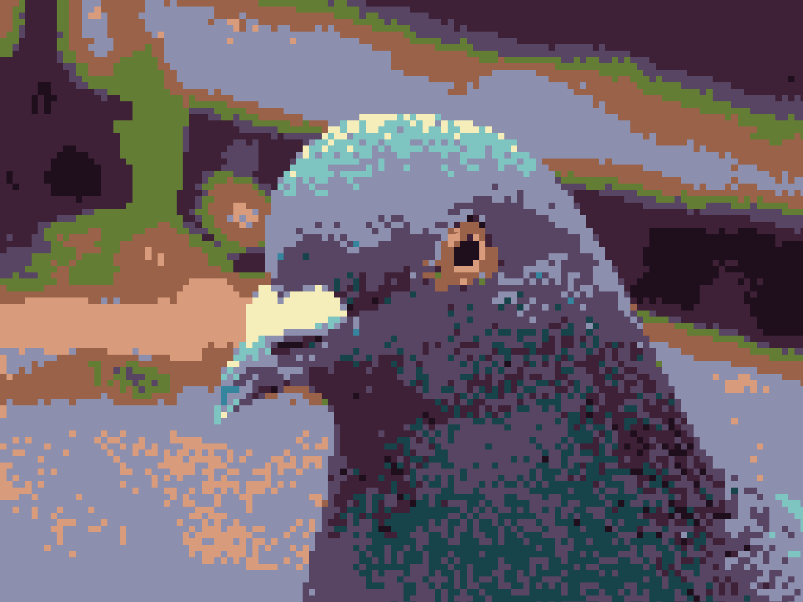 Pixel_Pigeon_Thirteen Pixel Pigeon Collection by DF OpenSea