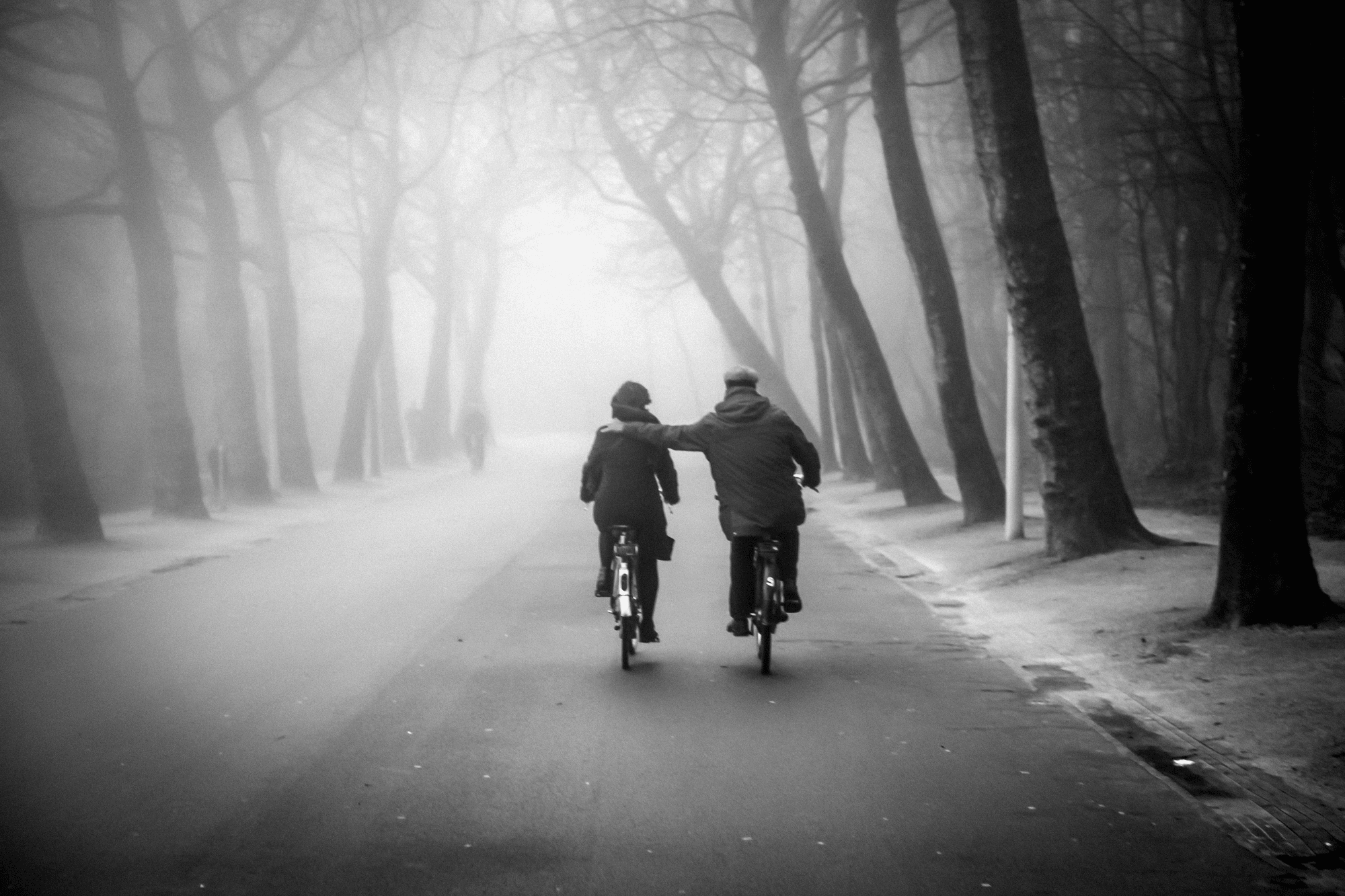 sometimes-trees-make-you-lean-amsterdam-fog-series-opensea