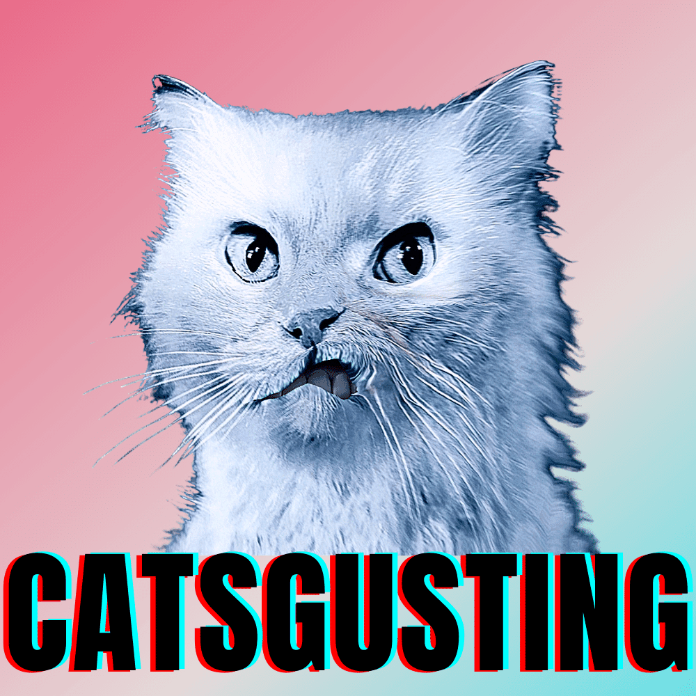 #bluecatmax #12 catsgusting