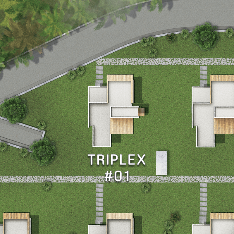 Triplex #01