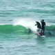 Dolphin vs. surfer