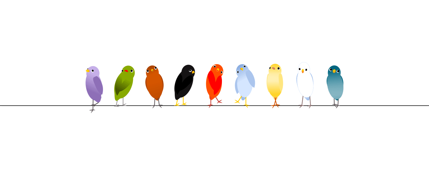 doudoubirds banner