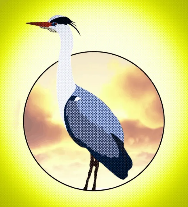 Bird Series - Heron