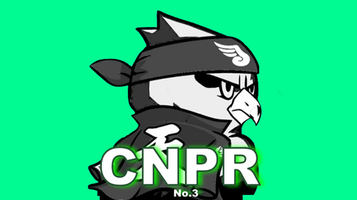 【Dear Beginners】CNPR No.3