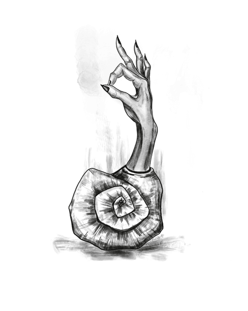Bizarre snails