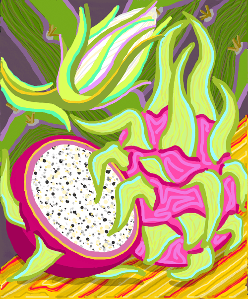 027 -  Pitahaya