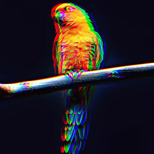 Parrot bilde