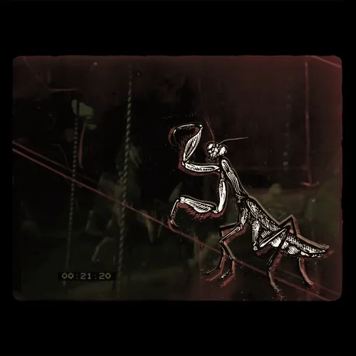 Unidentified contract - 3JfRlubP5Z
