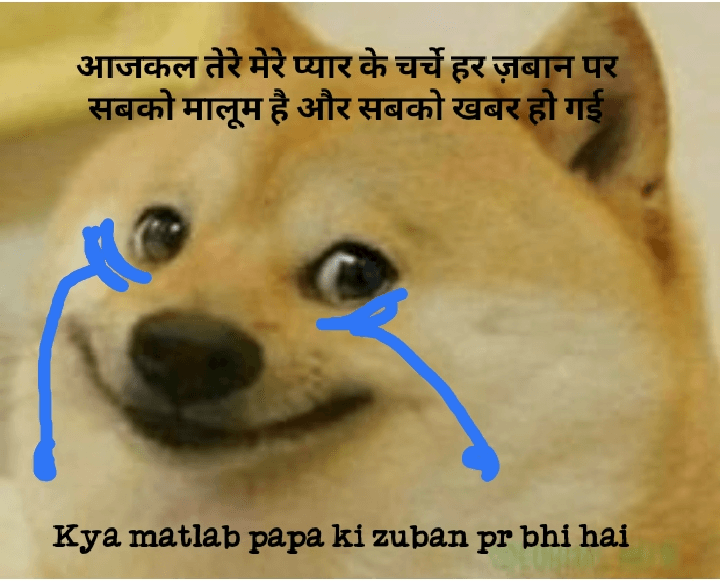 Pyar ke charche Doge Hindi Meme