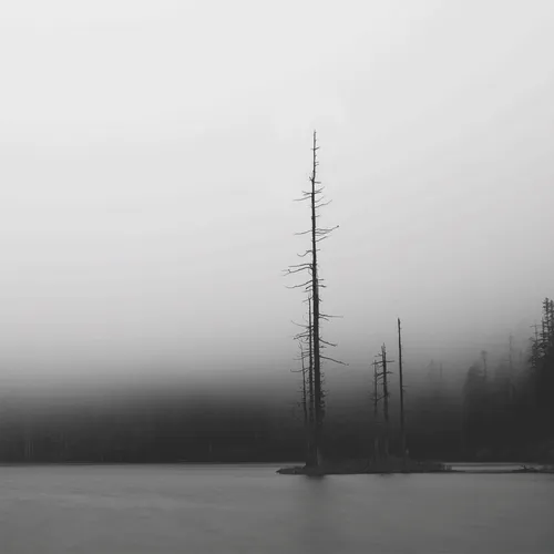 Moody Monochrome