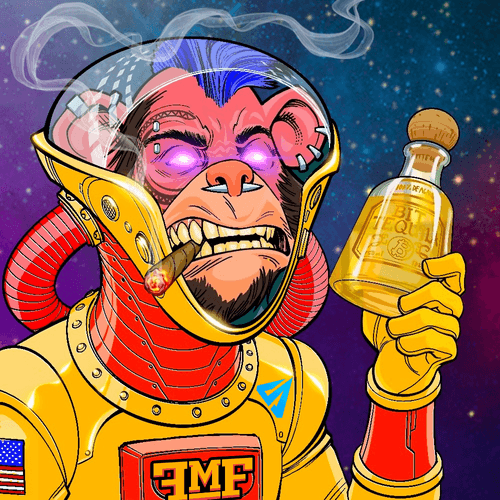 Funky Monkey Space Force