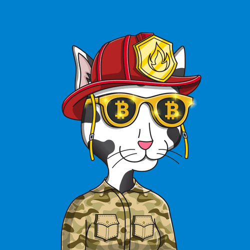 Girl Cat #603