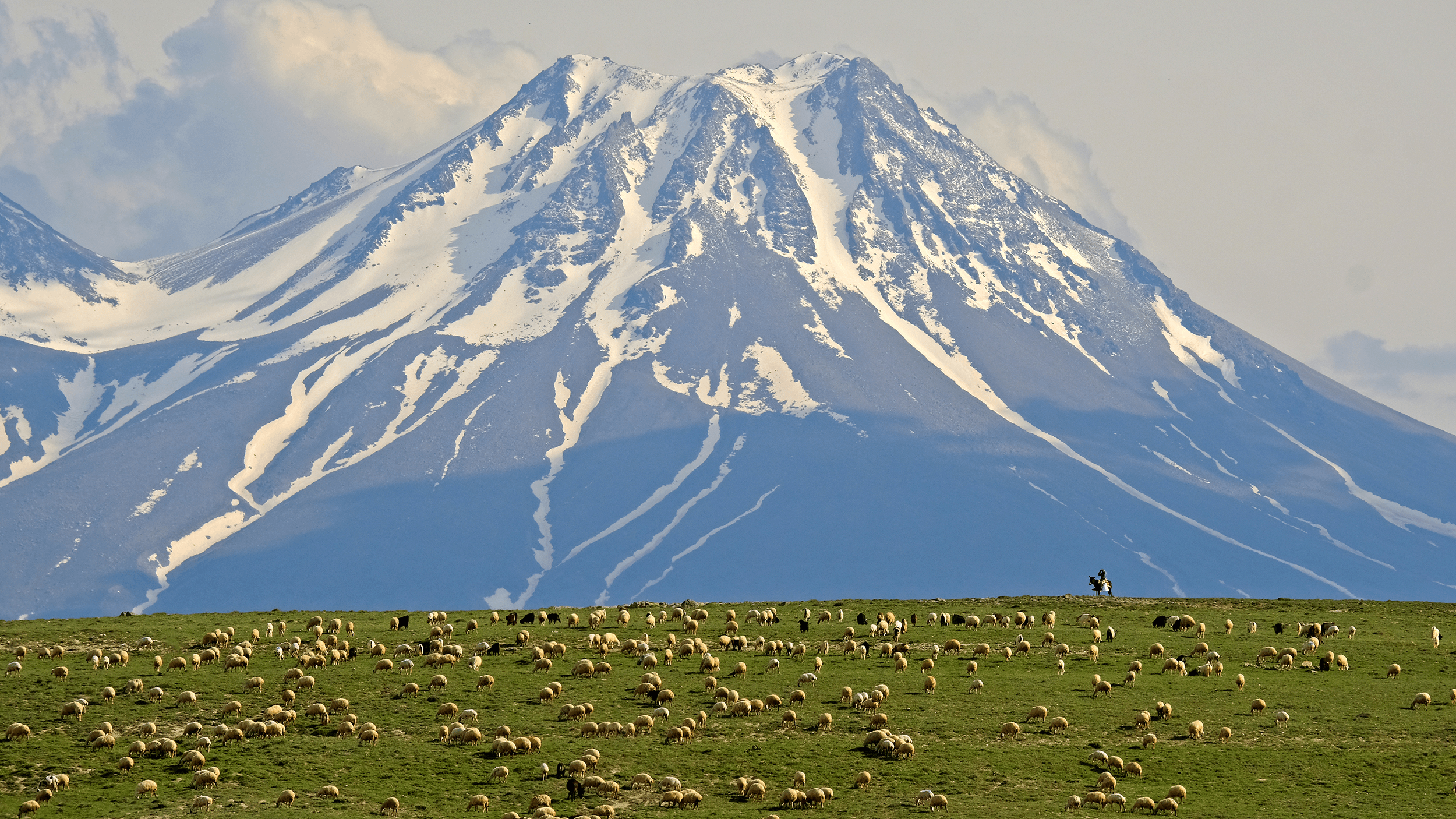 Mount Hasan & The Herd