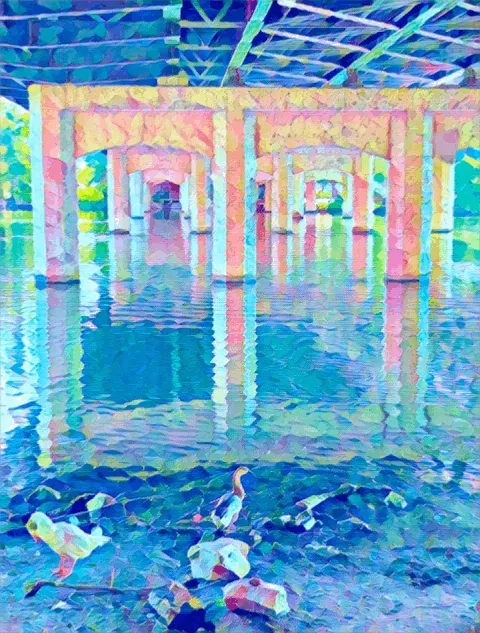 Duck Duck Goose Animated