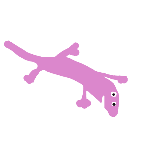 Mexican Worm Lizard